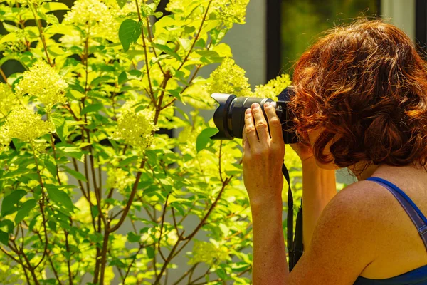 Kvinna Med Kamera Bilder Blommor — Stockfoto