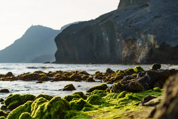 Spiaggia Monsul Nel Parco Naturale Cabo Gata Nijar Costa Almeria — Foto Stock