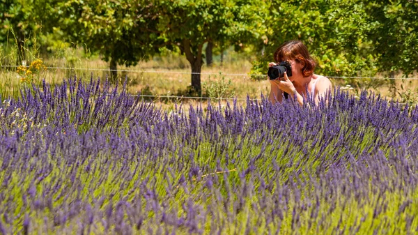 Érett Turista Fényképezőgéppel Utazás Fotó Provence Táj Lila Levendula Mezők — Stock Fotó