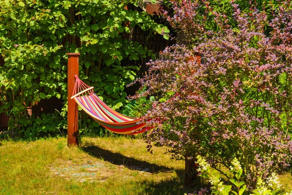 Kolorowy Hamak Wypoczynku Ogrodzie — Zdjęcie stockowe