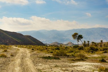 Sierra Alhamilla sıradağlarındaki manzara, İspanya.