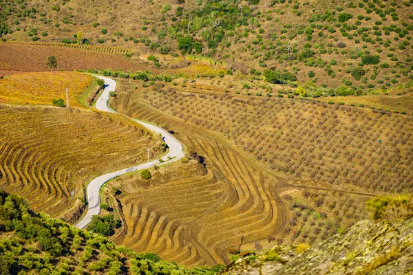 Straße Durch Berglandschaft Portugal — Stockfoto