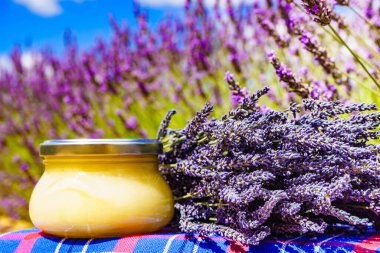 Ballı kavanoz taze lavanta tarlasına karşı. Fransa 'da Provence.