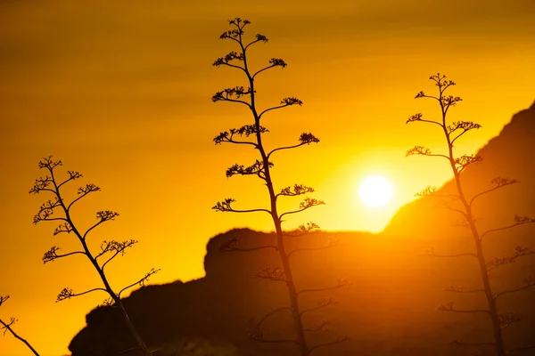 Kust Berglandschap Bij Zonsondergang Natuurpark Cabo Gata Andalusië Spanje — Stockfoto