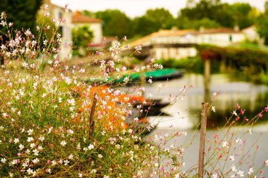 Nehir kenarındaki çiçekler ve arkada Coulon kasabası. Deux Sevres, Yeni Aquitaine bölgesi, Fransa