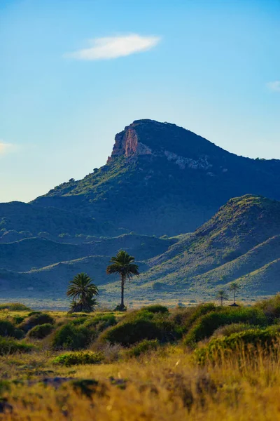 Akdeniz kıyısı manzarası, Murcia bölgesindeki İspanyol kıyı şeridi. Calblanque Bölge Parkı. Turist eğlencesi.