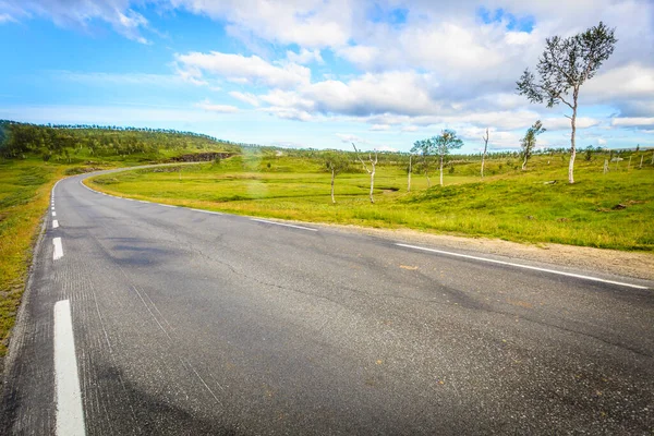 여름의 지대를 가로지르는 도로입니다 아름다운 풍경이야 812 노르들란 — 스톡 사진