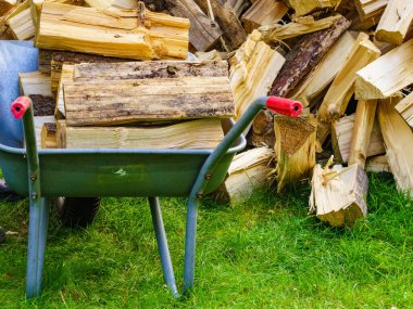 Dışarıda odun yığını ve el arabası var. Kış için hazırlık.