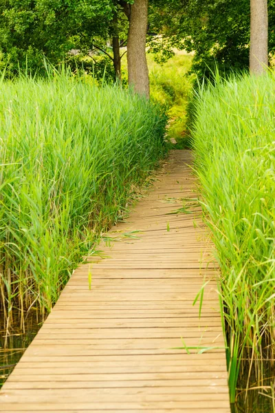Wooden Pier Lake Shore Overgrown Reeds — Stock Photo, Image