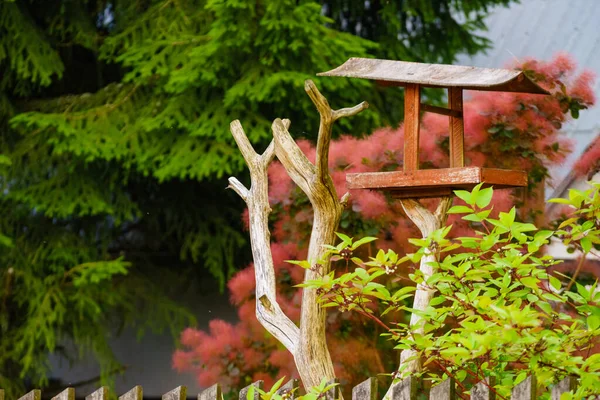 Alimentatore Uccelli Giardino Aiutando Gli Uccelli Nutrendoli — Foto Stock