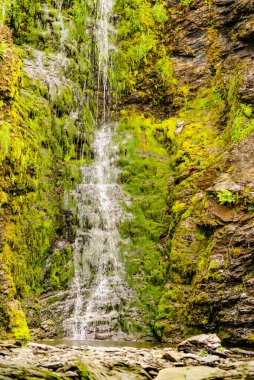 Yeşil yaz dağlarında küçük şelale, Norveç.