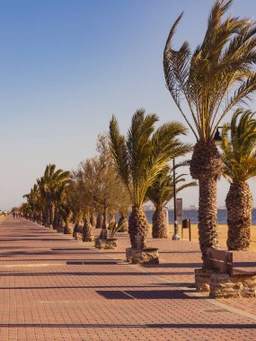 San Pedro del Pinatar parkında yürüyüş alanı, Murcia İspanya. Turist eğlencesi