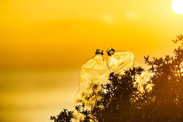 Plastic Water Bottle Abandoned Beach Sea Shore Sunrise Color Landscape — Foto Stock