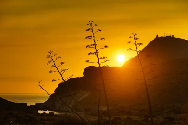 Paisagem Costeira Pôr Sol Parque Natural Cabo Gata Andaluzia Espanha — Fotografia de Stock