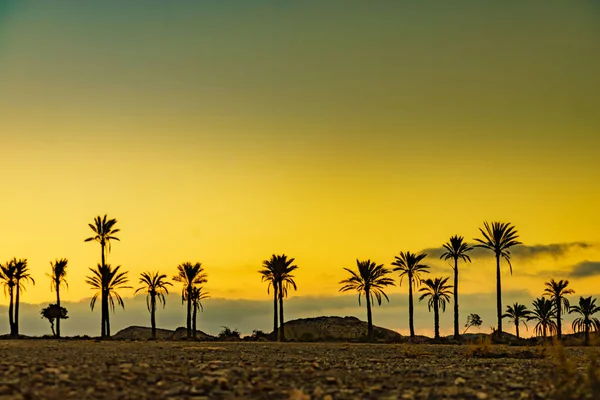 Sunrise Landscape Palm Trees Sierra Alhamilla Mountain Range Spain — Stock Photo, Image