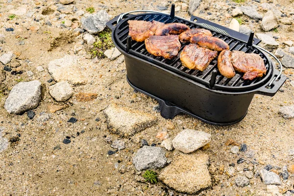 Mięso Kiełbasa Grillu Kolacja Grillowa Świeżym Powietrzu Letnie Jedzenie — Zdjęcie stockowe