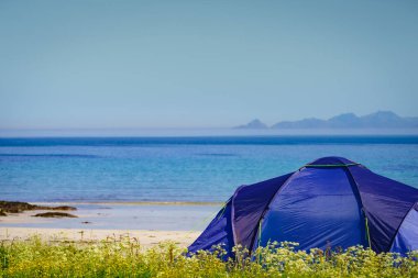 Yazın deniz kıyısında çadır. Okyanus kıyısında kamp yapmak. Lofoten takımadaları Norveç. Tatil ve seyahat.