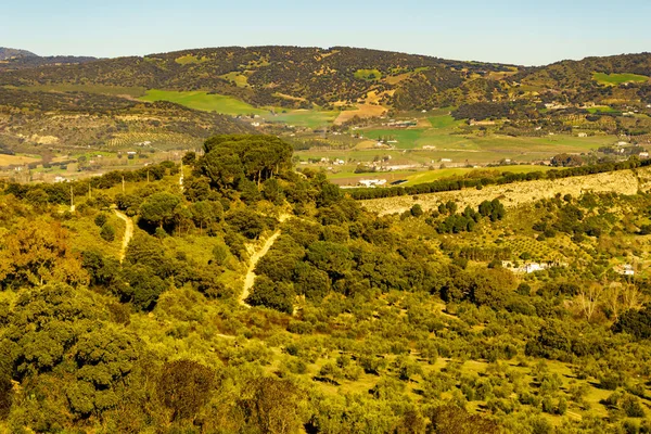 Ronda Grünes Tal Landschaft Andalusiens Spanien — Stockfoto