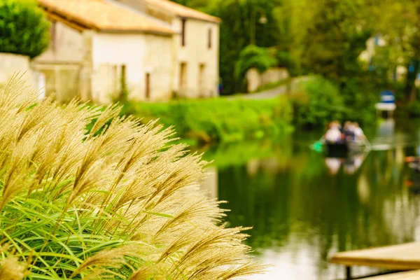 背景是河边的草丛和库伦镇 Deux Sevres New Aquitaine Region France — 图库照片
