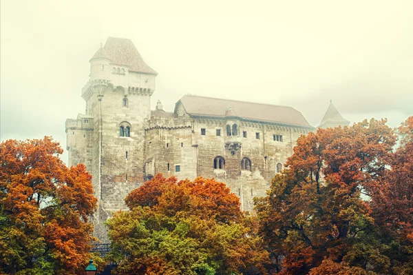 利希滕斯坦城堡在日出 — 图库照片#