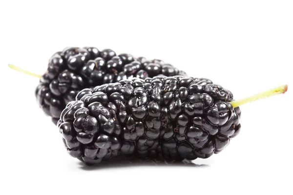 Black mulberry — Stock Image Black mulberry Stock Photo