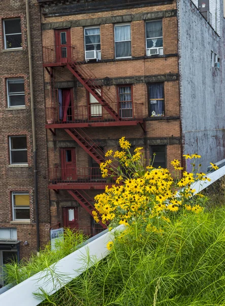 High-line park w Nowym Jorku — Zdjęcie stockowe