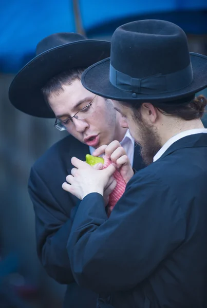 De vier soorten markt — Stockfoto