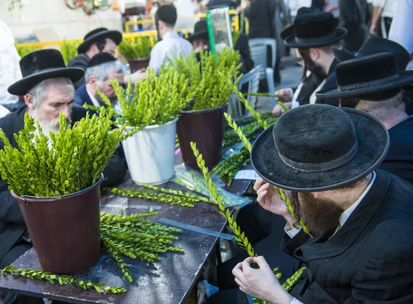 De vier soorten markt — Stockfoto