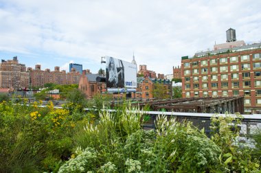 new York yüksek hat park