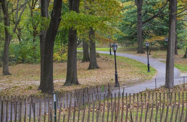 Central Park — Foto Stock