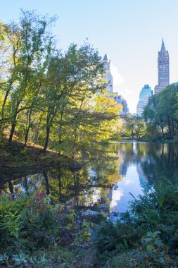 Central park