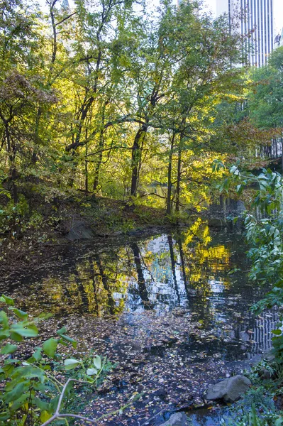 Central park — Stok fotoğraf