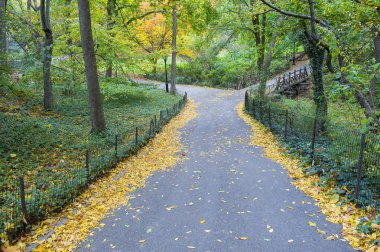 Central park