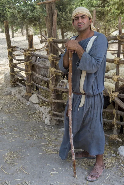 Палестинский пастух — стоковое фото