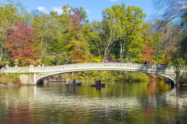 Central park — Stock Photo, Image