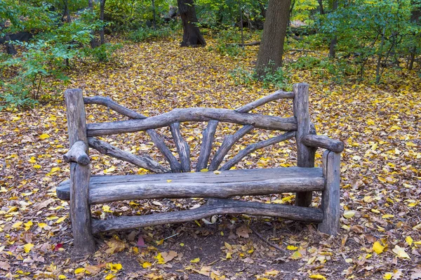 Central park — Stockfoto