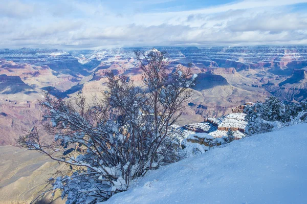 Grand Canyon — Stock fotografie