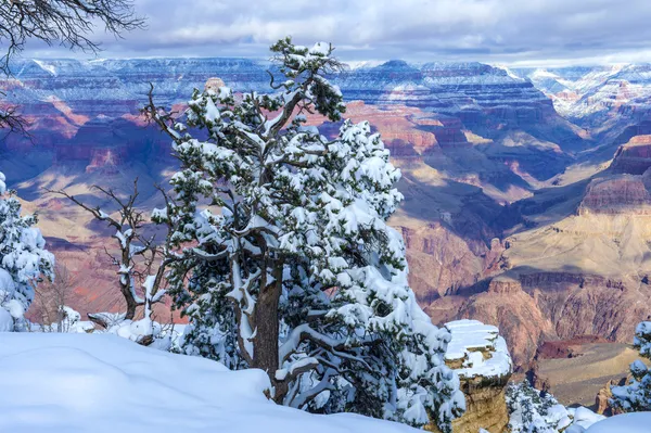 Grand Canyon — Stock fotografie