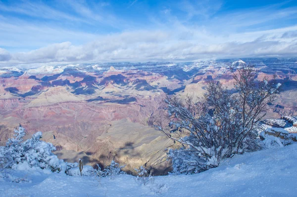 Grand Canyon — Stockfoto