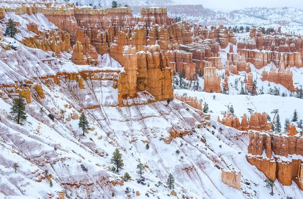 Cañón de Bryce —  Fotos de Stock