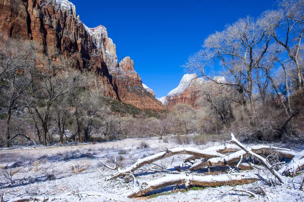 Zion park — Stok fotoğraf