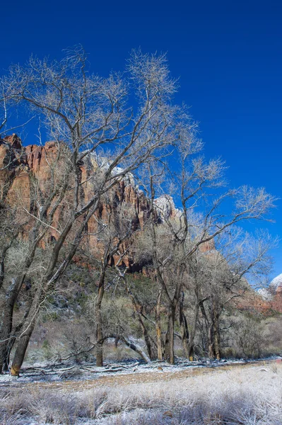 Zion park — Zdjęcie stockowe