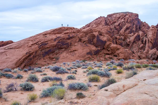 The Valley of Fire — Stock Photo, Image