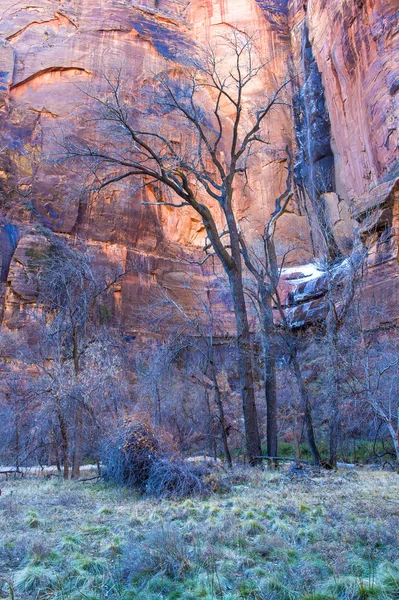 Zion park — Stok fotoğraf