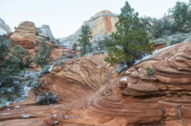 Zion park