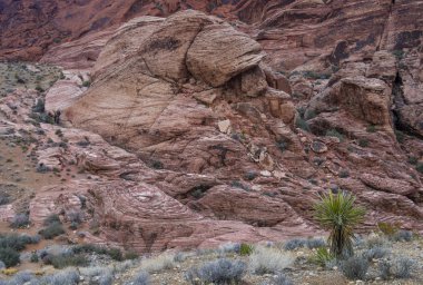 Red rock canyon, nevada.