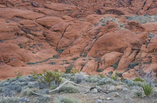 Cañón de Red Rock, Nevada . — Foto de Stock
