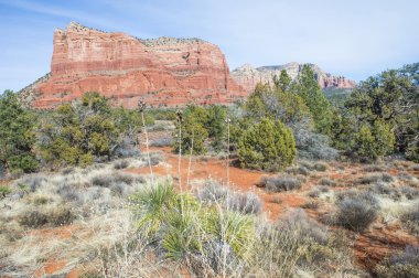 Sedona