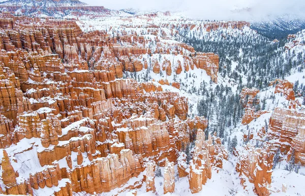 Bryce Canyon. — Fotografia de Stock