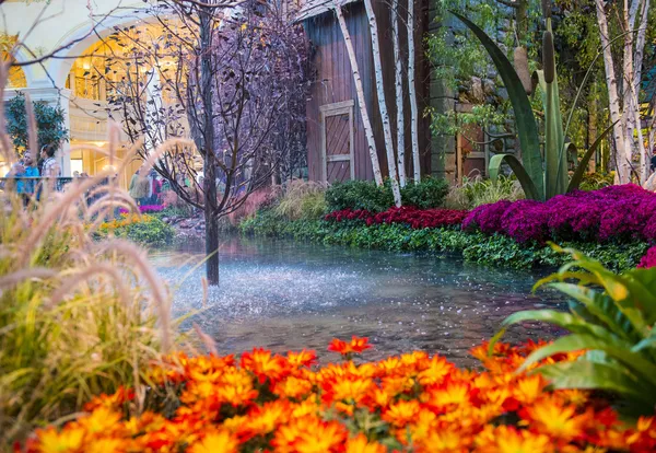 Bellagio szálloda télikertjében & botanikus kertek — Stock Fotó